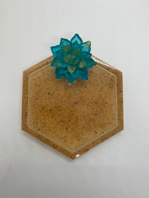 Sandy Blue Succulent Trinket Dish